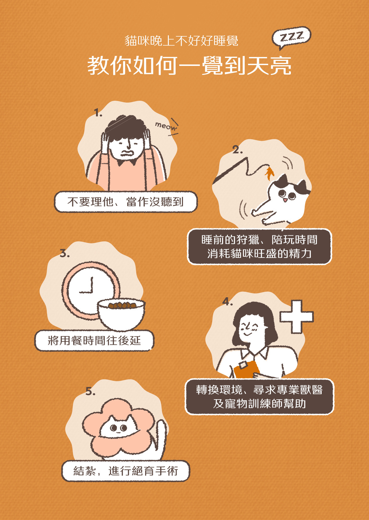 如何讓貓離開床邊小撇步讓您安穩睡覺