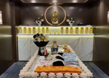 養了十幾年的寵物去世,是怎樣一種複雜的心情？