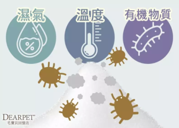 寵物骨灰怎麼保存？骨灰可以裝在袋子裡嗎？