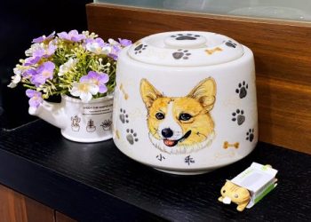 寵物火化：讓愛以另一種形式延續的溫暖選擇