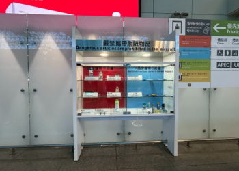 桃園機場攔獲走私寵物烏龜!業者企圖夾帶珍稀品種入境