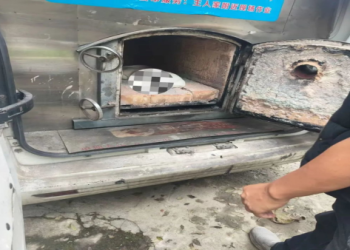 台灣寵物骨灰鑑定？避免混燒的真偽辨別技巧