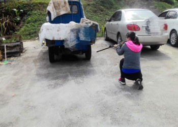 台中流浪犬免費結紮!巡回車服務 減少生殖系統疾病