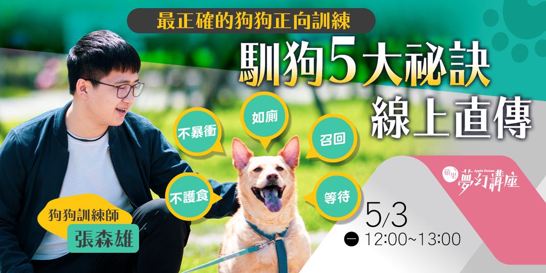 點搵專業寵物訓練師?推薦五大挑選指南俾你睇!