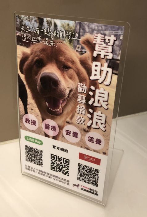 如何支持板橋流浪動物之家?捐款與捐助簡單方法