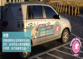 寵物去世為何不閉眼？獸醫解釋現象與火化前的準備