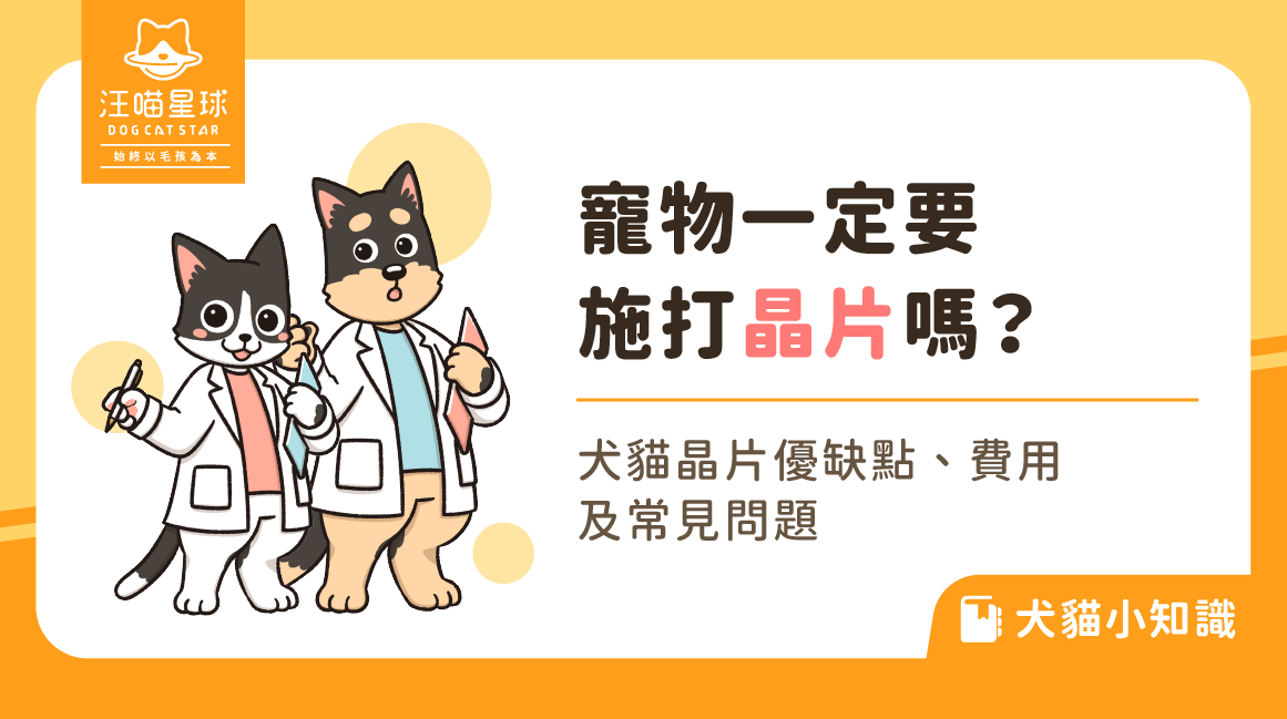 寵物打晶片費用多少錢?2024平均花費詳細分析!