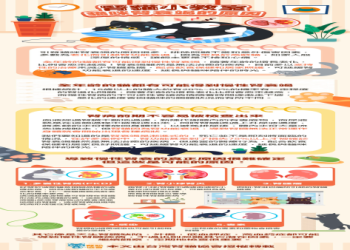 如何面對晚期腎衰竭的貓？醫療選擇與情感準備的雙重課題