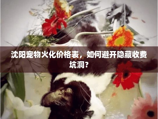 寵物火化服務哪家好？資深飼主教你如何避開選擇的坑!
