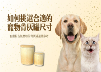 寵物去世後能否自行火化？環保法規與風險全解析
