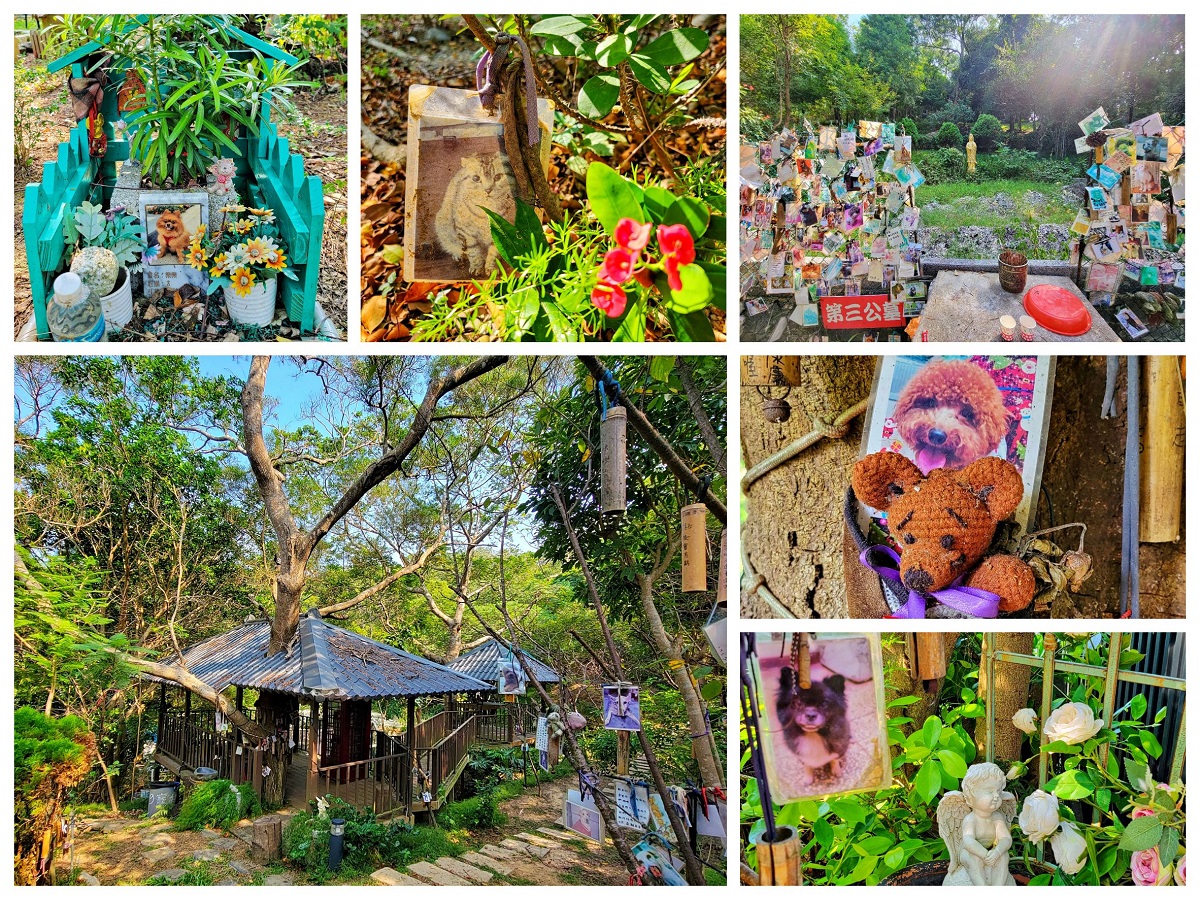 新竹寵物天堂哪家好?比較這5間評價最真實!