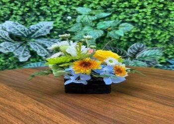 貓咪火化後骨灰如何安置？獸醫與禮儀師推薦的溫柔方式