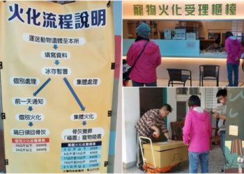 寵物骨灰可以埋在小區綠化帶嗎？法規與社區規範探討