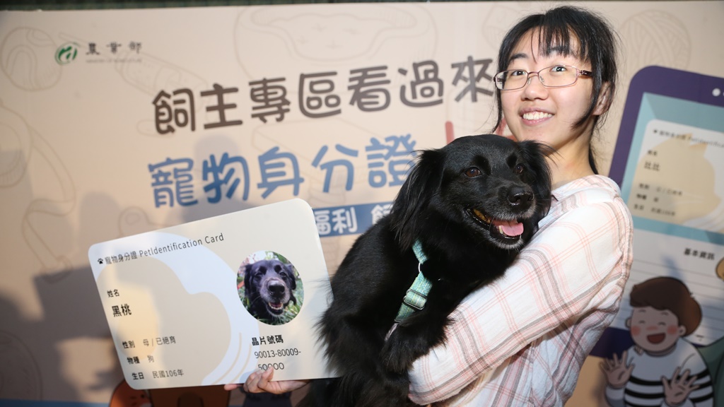 哪裡辦理狗狗身份證最方便?推薦這幾家優質服務公司
