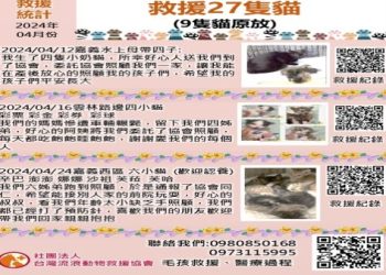 減輕救助負擔！ 多家業者提供「流浪動物火化成本减免」，集結公益力量支持第一線