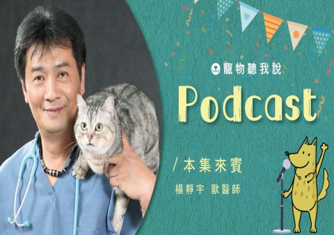 毛孩臨終十大徵兆:獸醫公會認證,提早識別溫柔陪伴