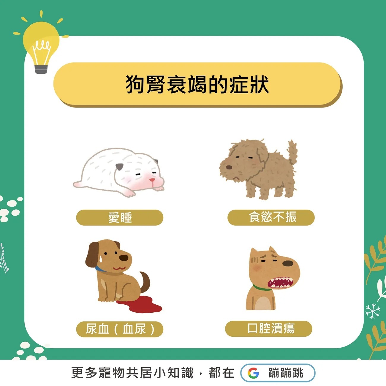 老年狗狗腎衰竭原因揭秘及實用護理指南