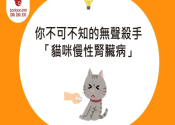 圖表解析：貓咪慢性腎衰竭各期(早期到晚期)典型症狀