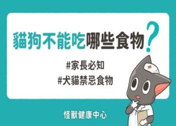 寵物飲食禁忌!巧克力、洋蔥列黑名單 誤食恐致命