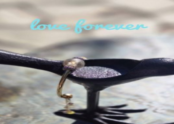 將思念隨身攜帶：寵物骨灰製成飾品的流程、費用與情感意義