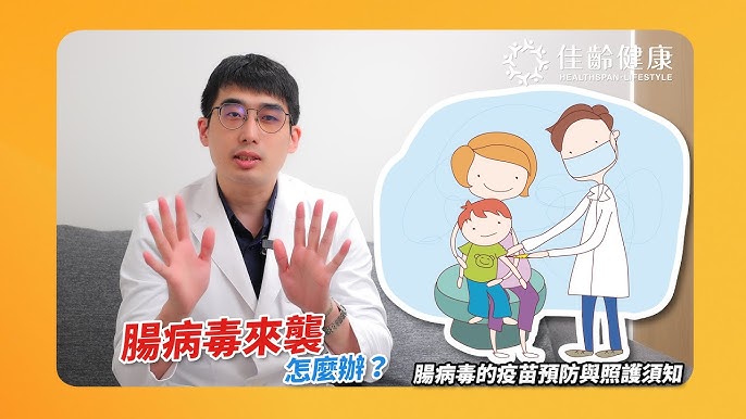 糖尿病貓咪併發症風險 | 預防與護理注意事項