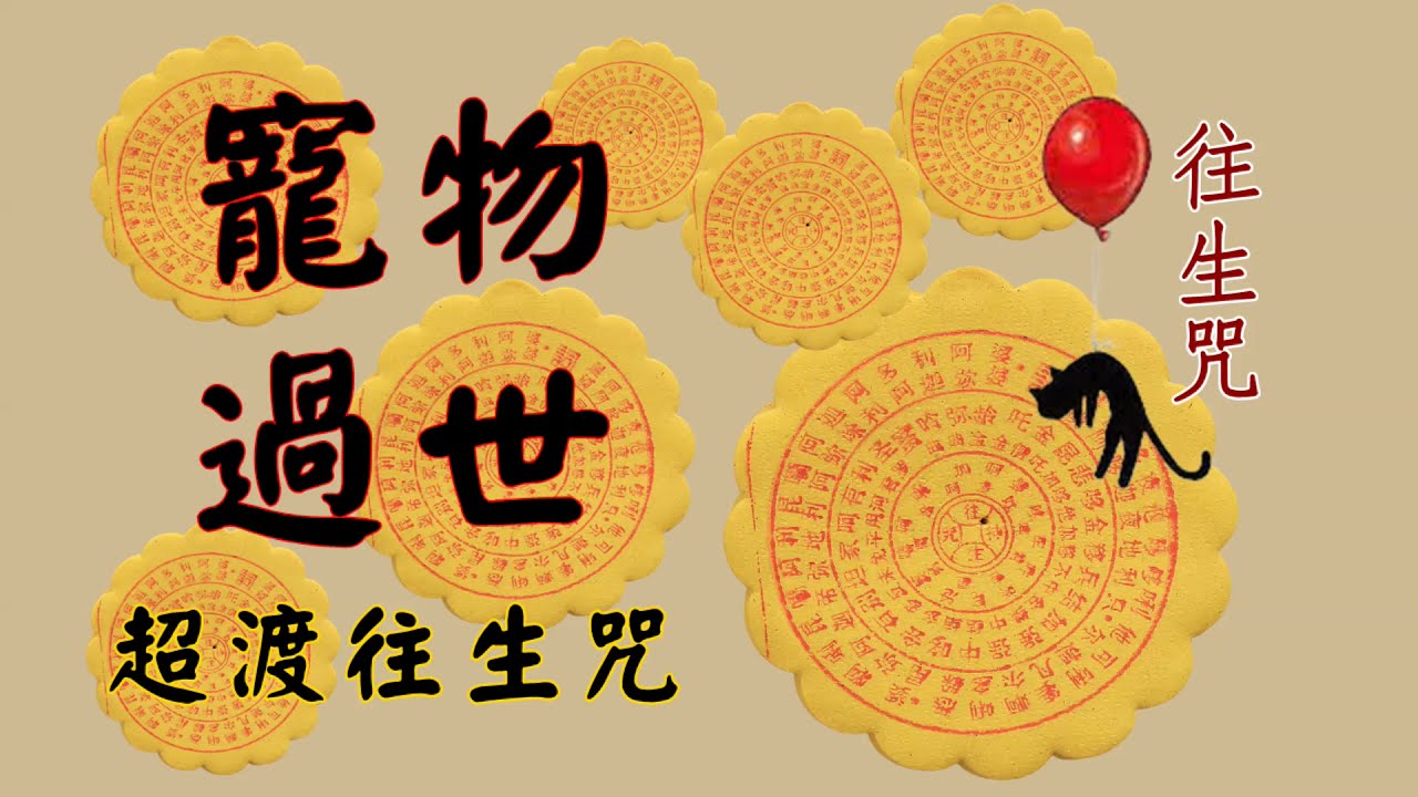 寵物往生咒功效怎麼用?(簡單教學一次學會)