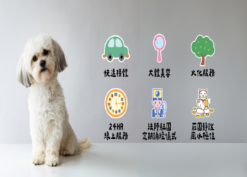 台灣偏鄉寵物骨灰安葬？離島免運送服務推薦