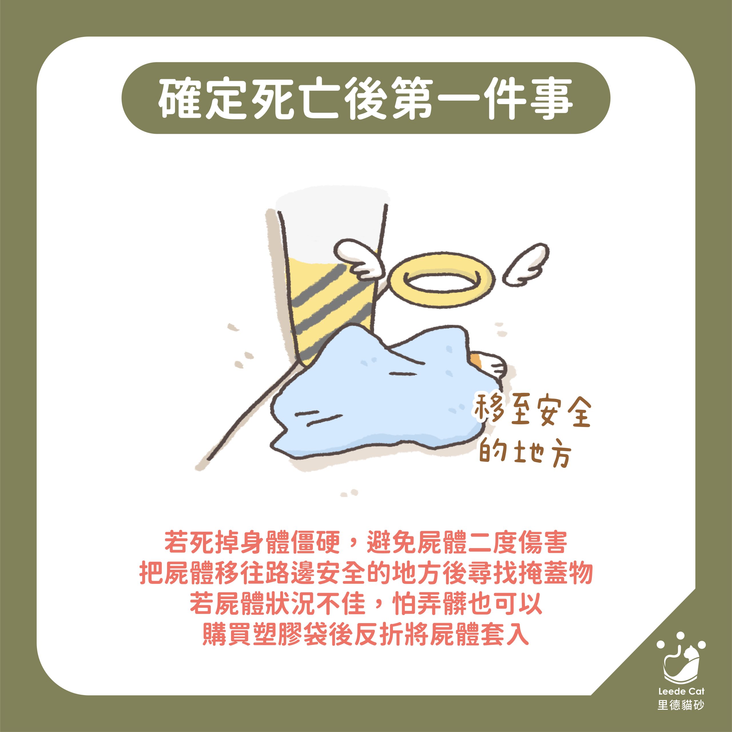 戶外野貓死掉怎麼處理?預防傳染風險實用教學