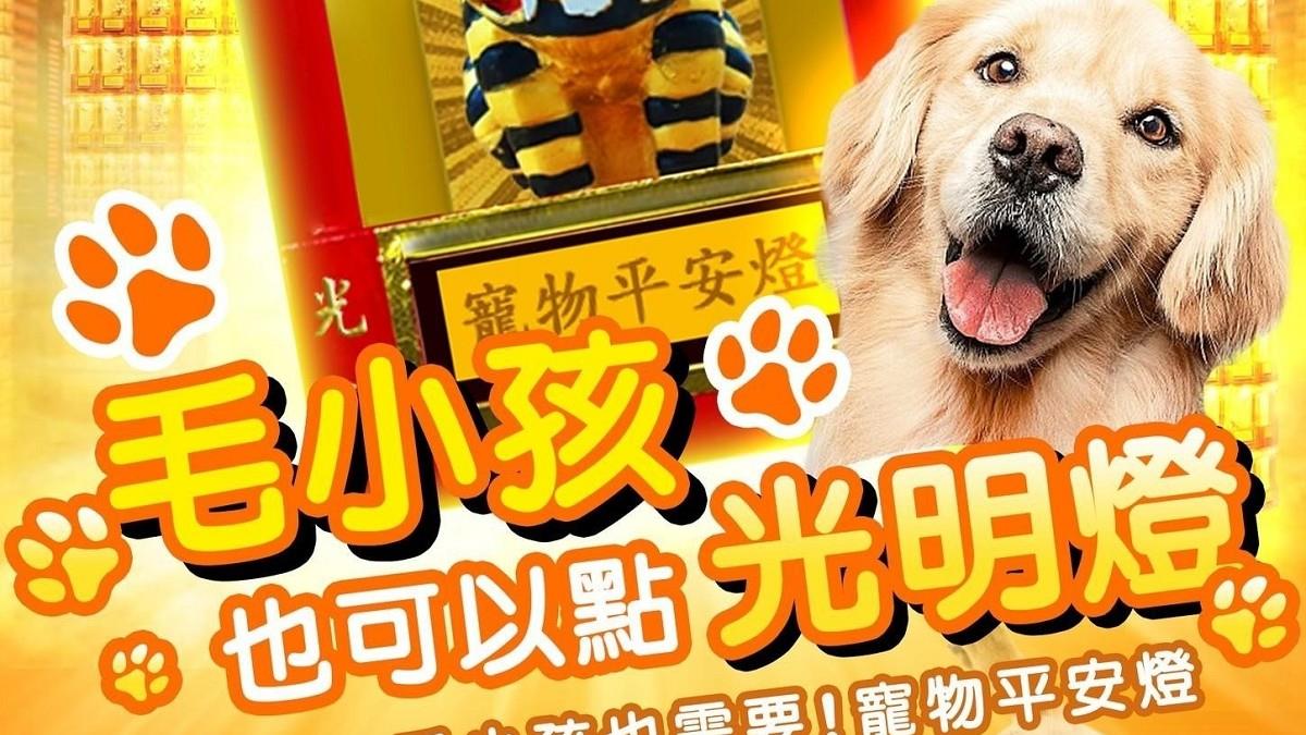 寵物點燈禁忌有哪些?搞錯這點恐反效果