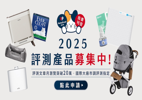 高雄貓咪火化前花瓣環繞?客製化告別儀式費用