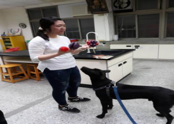 狗醫師校園療愈開跑 互動安全與照護要點