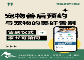 2025全球寵物骨灰盒市場趨勢：金屬與塑料材質佔主導地位