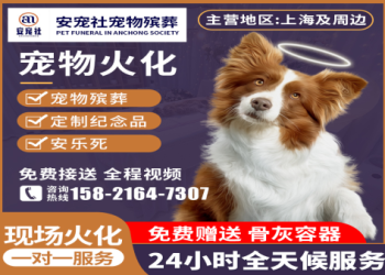 寵物骨灰不僅是存放：轉化為鑽石、晶石、畫作等獨特紀念品