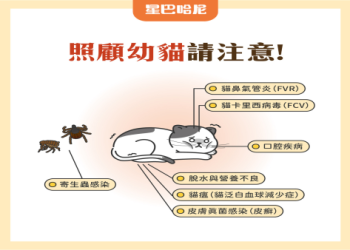 從生病到告別：灣首本「毛小孩全週期照護」實用手冊發佈，飼主必備指南