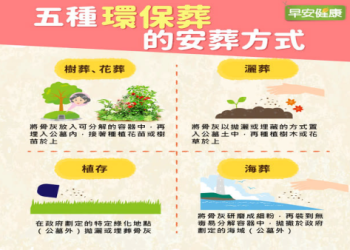 宜蘭寵物植存 3 年後怎麼辦？盆栽帶回 + 墓穴重利用