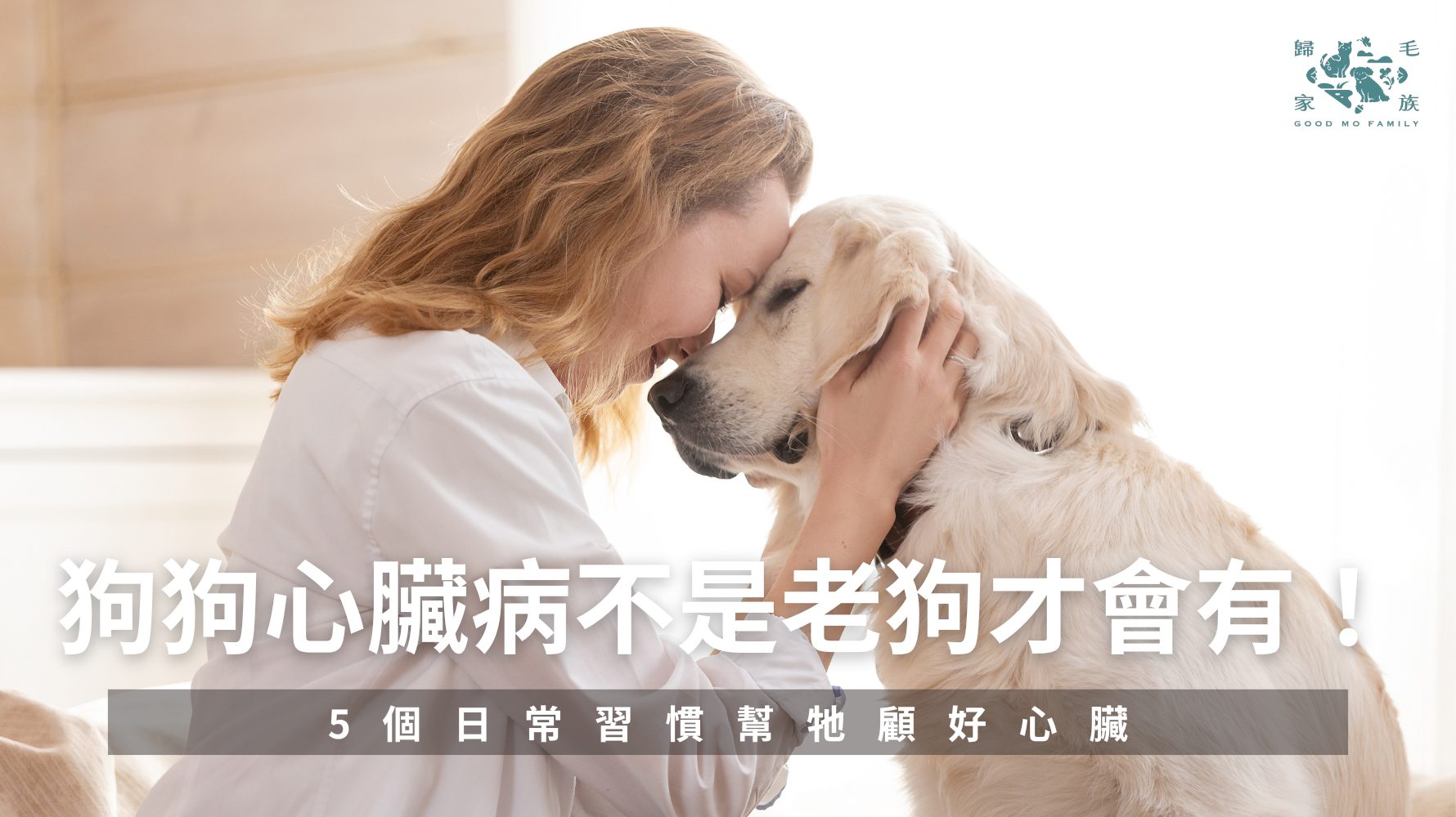 滿七毛孩照顧指南:五個日常準備事項一次搞懂