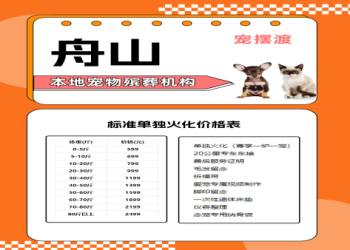 愛犬在寵物樂園火化後,骨灰帶回家安置的注意事項與意義