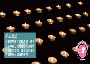 寵物火化前必知：流程、費用與業者挑選關鍵