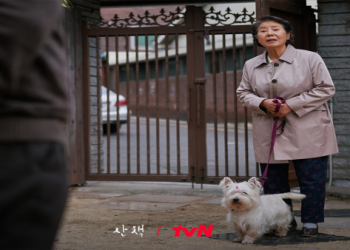 當朋友的寵物可能即將離世,我該如何恰當地安慰與支持？