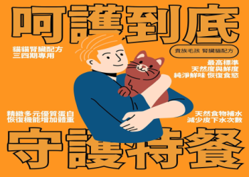 貓早期腎衰竭有什麼細微症狀？把握黃金治療期的關鍵