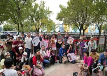 台北飼主為愛犬訂製聖誕禮服!手工訂製價格飆破萬元