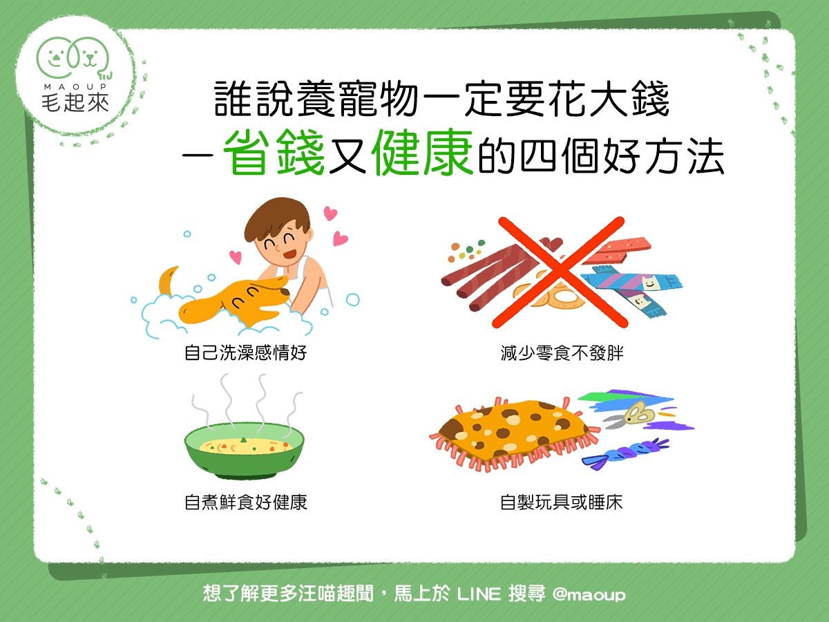 寵物金這樣養最省錢!達人傳授實用技巧!