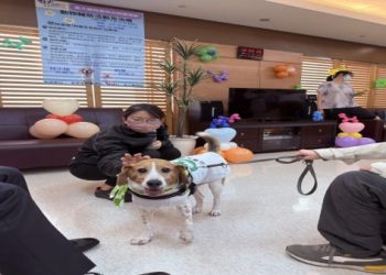 台北狗醫生計畫!20 隻流浪毛孩訓練後助患者復健