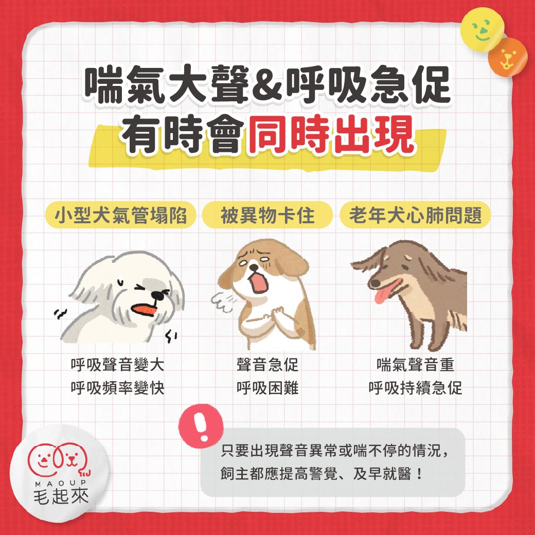 狗狗呼吸有聲音未必有事!主人最容易搞錯嘅三個情況