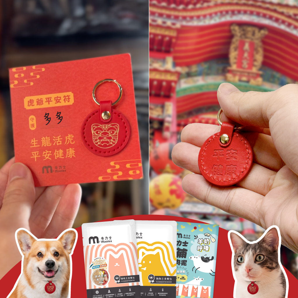 哪裡買寵物平安符?推薦這三家平台方便又可靠!