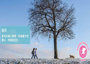 我把愛犬骨灰種成櫻花樹：台灣寵物樹葬的感人實踐故事