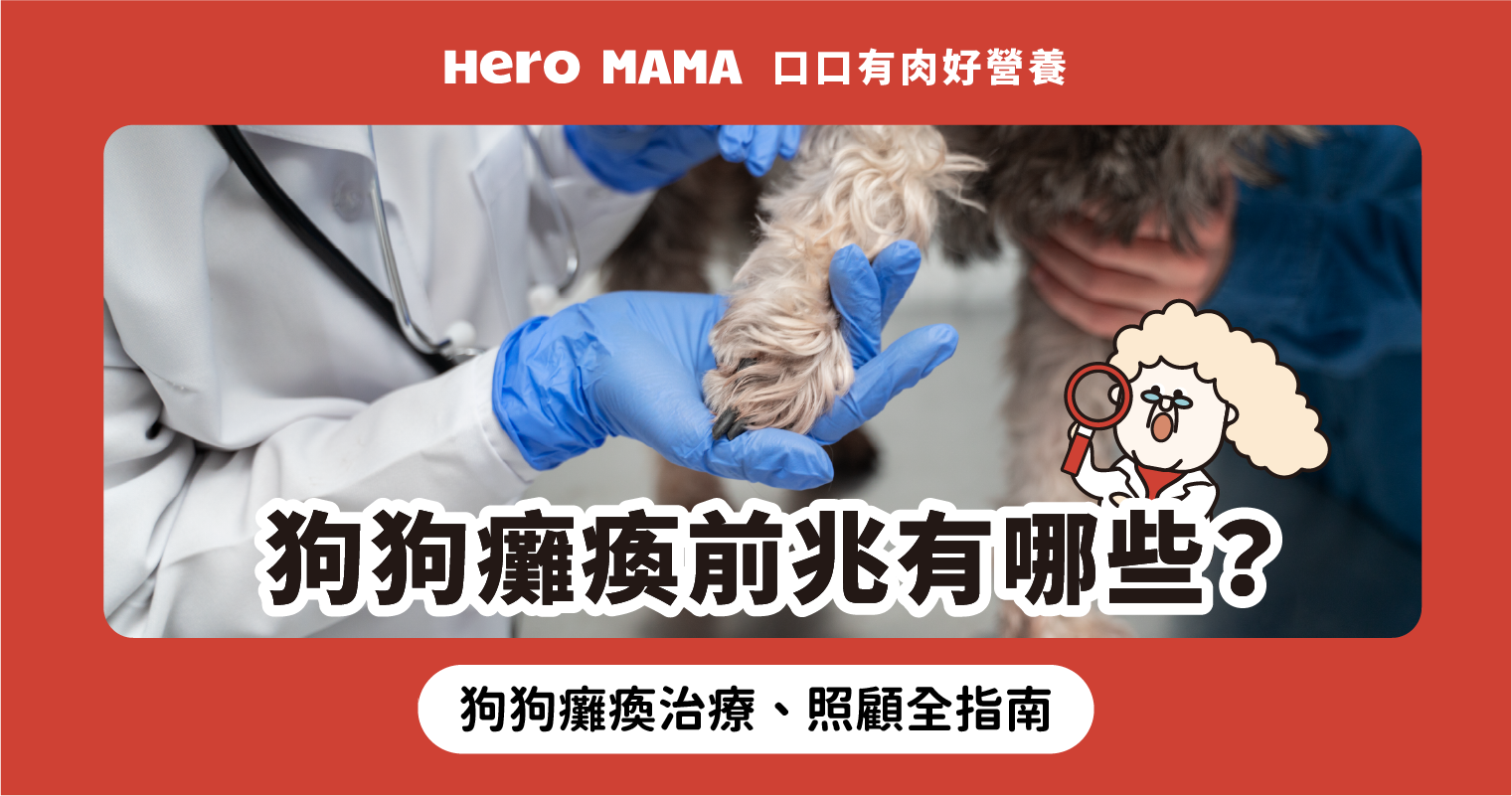 當老狗站不起來時該做什麼:寵物醫生實用指南