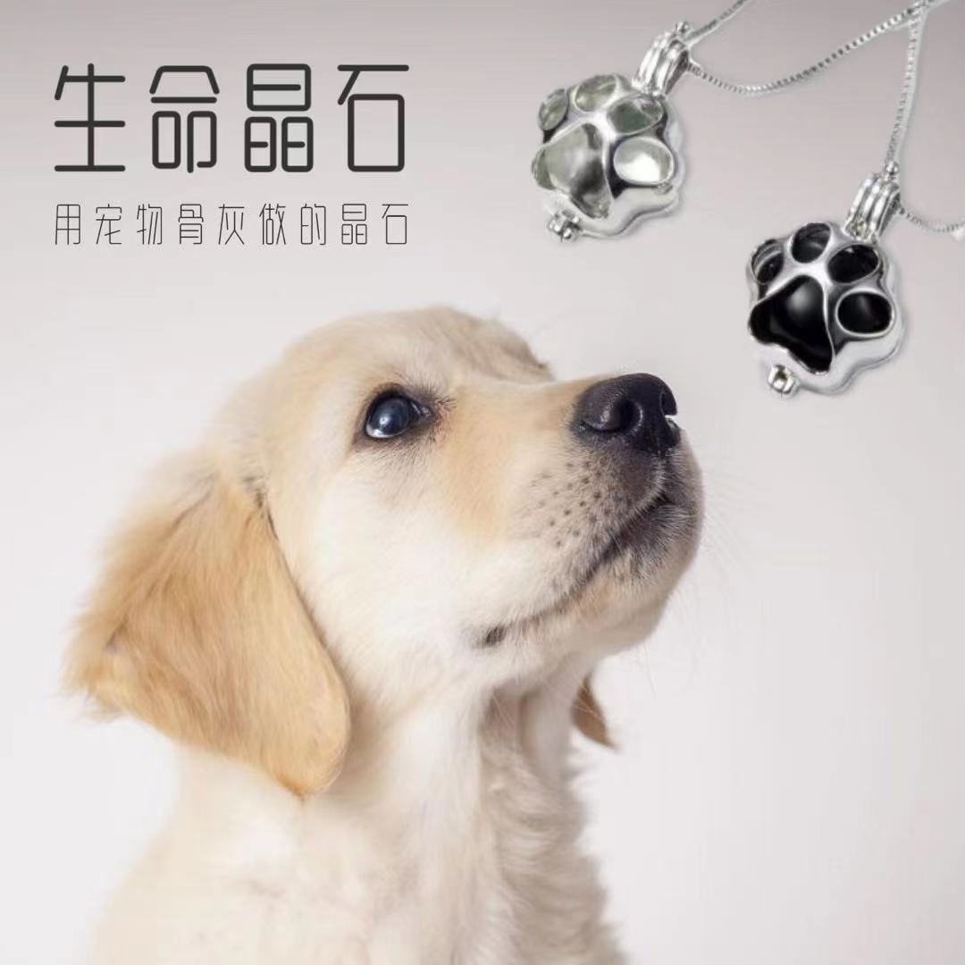 骨灰變晶石、鈴鐺 毛小孩紀念新方式走紅,製作費用貴嗎？