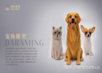 寵物骨灰處理全指南：從安置方式到紀念品,一次解答常見疑問