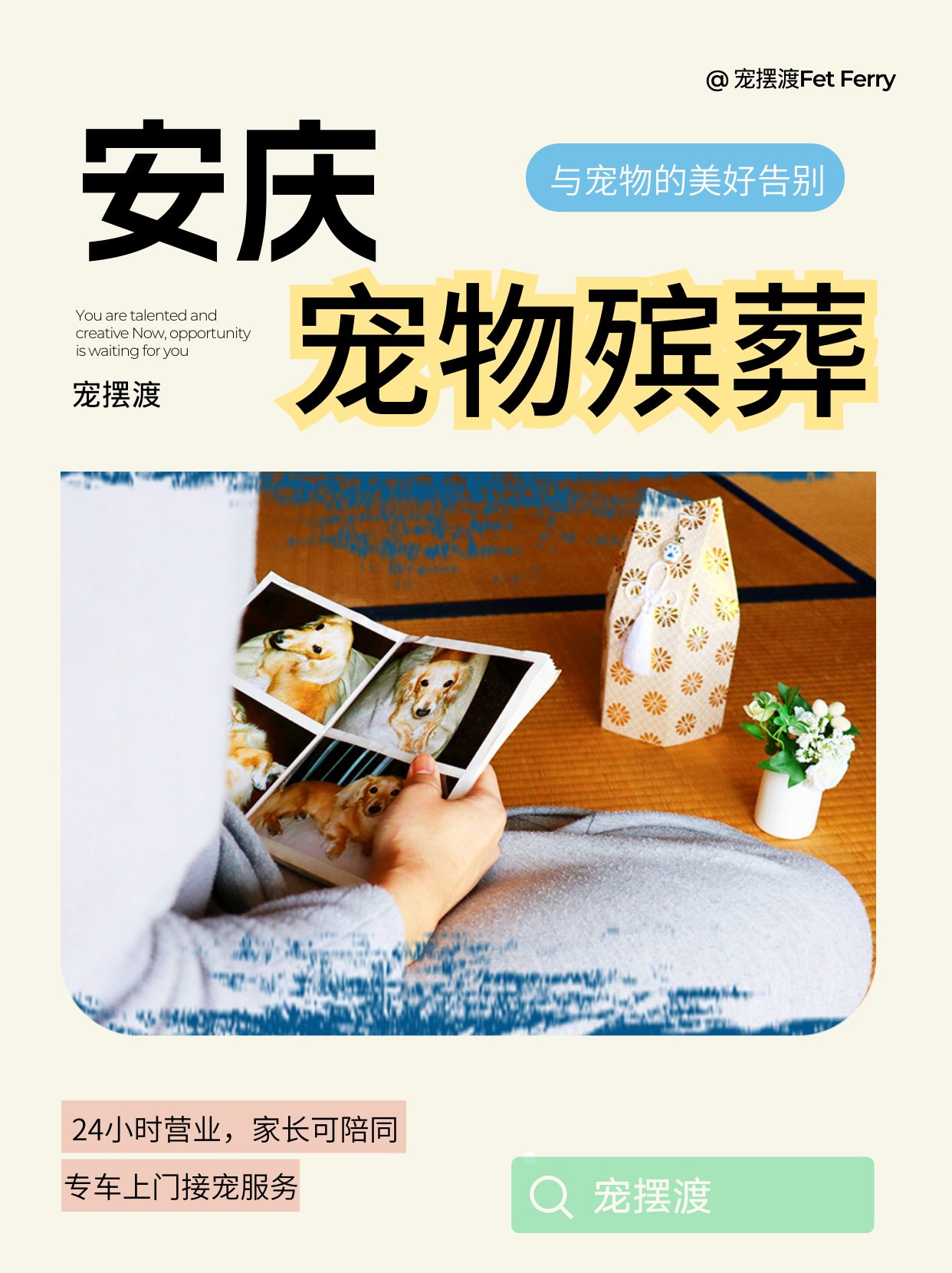 雲林寵物火化怎麼選?專業指南幫你避坑!